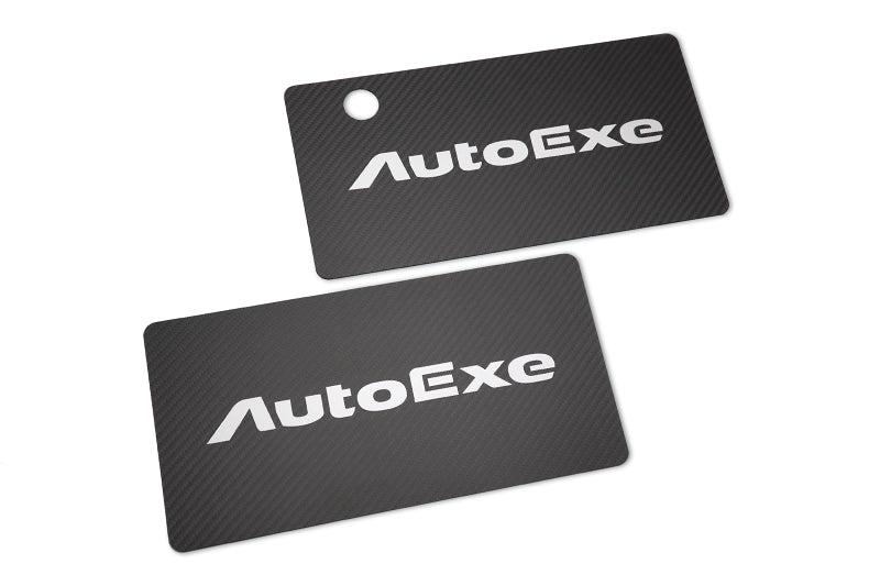 カーボンナンバープレートマスク | オートエクゼ公式オンラインストア