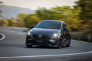 リアルーフスポイラー MAZDA2/Demio