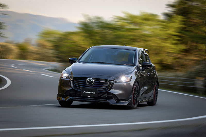 リアルーフスポイラー MAZDA2/Demio | オートエクゼ公式オンライン