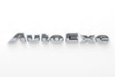 Word ornament
