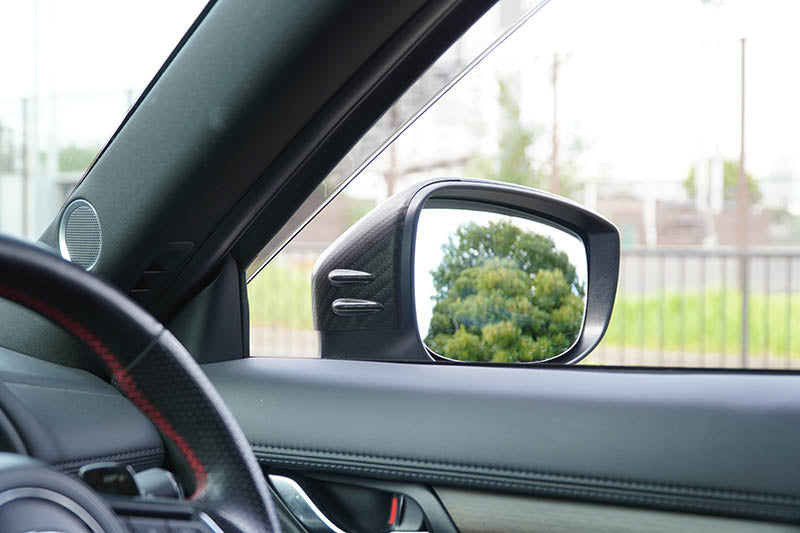 door mirror cover