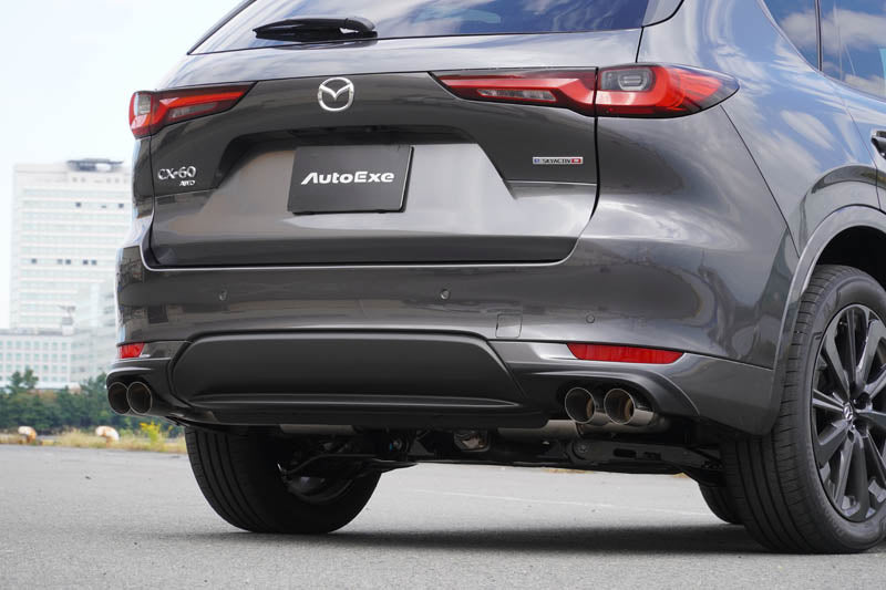 Sports muffler