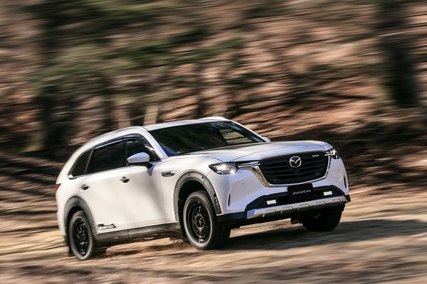 CX-80