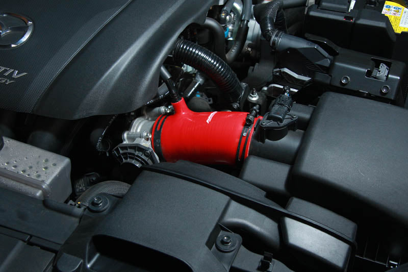 5 Stück Auto Kohlefaser Einstiegsleisten, für Mazda M3