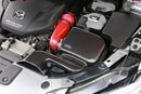 Ram air intake system